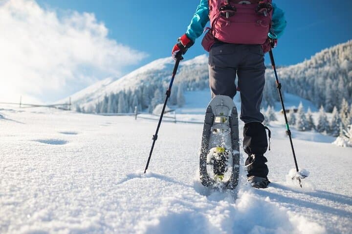 Guided Snowshoeing in Val Brembana — 3-Hour Alpine Walk with Local Guide