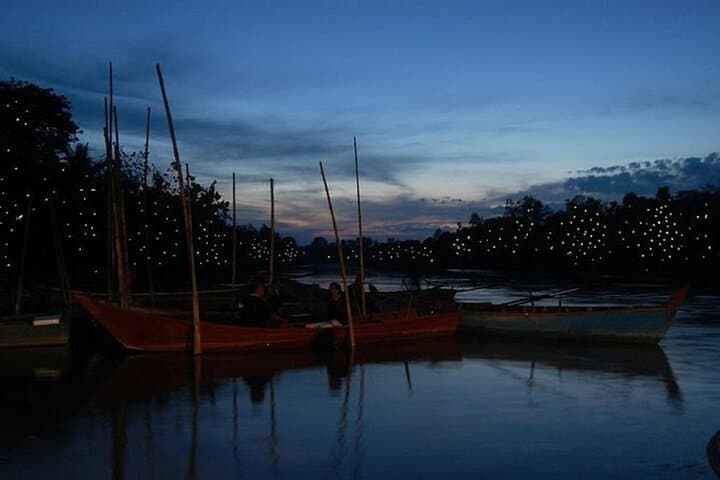Kuala Selangor Fireflies Night Boat Tour with Seafood Dinner photo 6