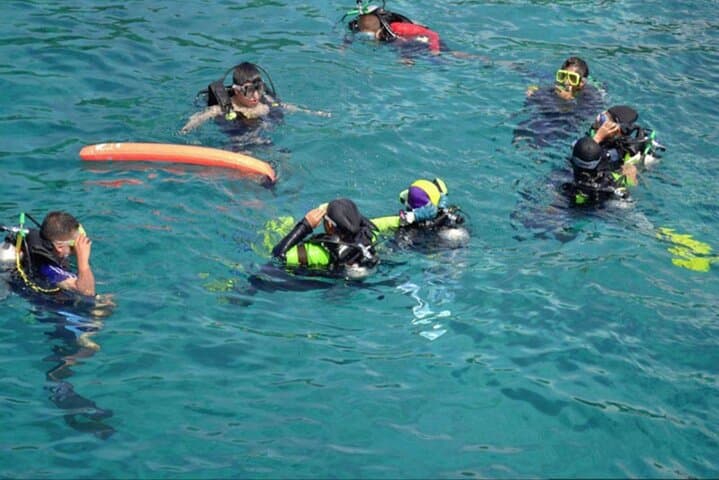 Red Sea Dolphin Watching and Lunch Cruise from Hurghada photo 5