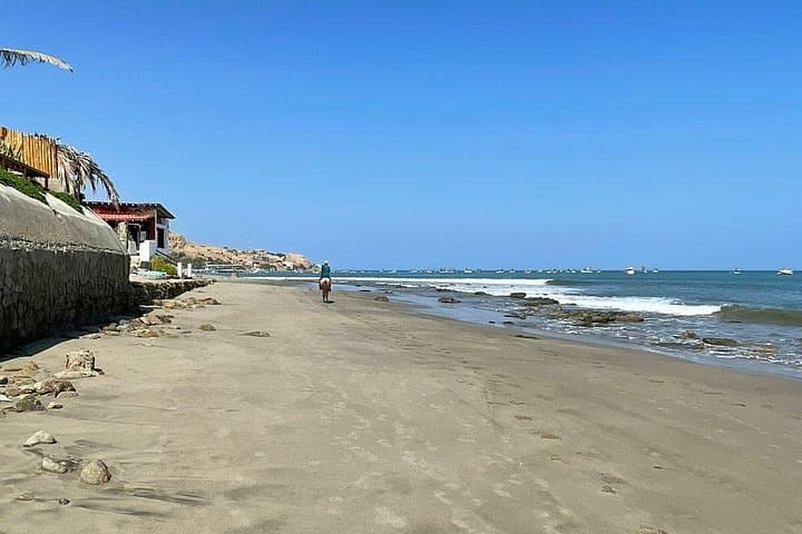 Full-Day Surfing in Máncora: Los Órganos, Secret Breaks & Turtle Surfing photo 2