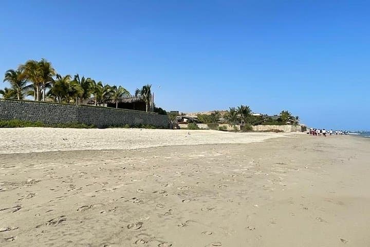 Full-Day Surfing in Máncora: Los Órganos, Secret Breaks & Turtle Surfing photo 5