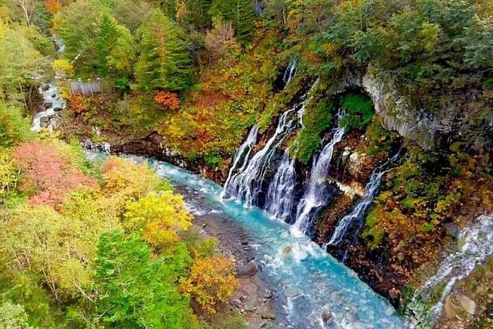 Hokkaido Day Trip from Sapporo: Asahiyama Zoo, Blue Pond & Shirahige Falls photo 4