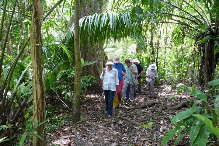 8-Day Nicaragua Tour — Colonial Cities, Active Volcanoes & Selva Negra Coffee photo 4