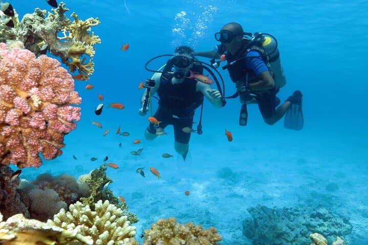 Hurghada Introductory Scuba: Full-Day Boat Dive on the Red Sea photo 4