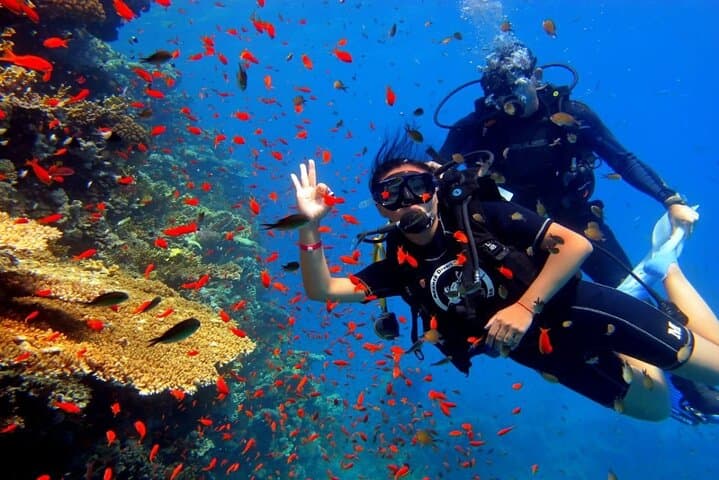 Hurghada Introductory Scuba: Full-Day Boat Dive on the Red Sea photo 3