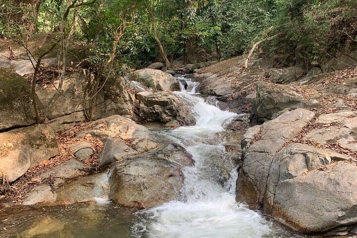 Paso del Mango Chocolate & Waterfalls Tour — Sierra Nevada Day Trip from Santa Marta photo 3