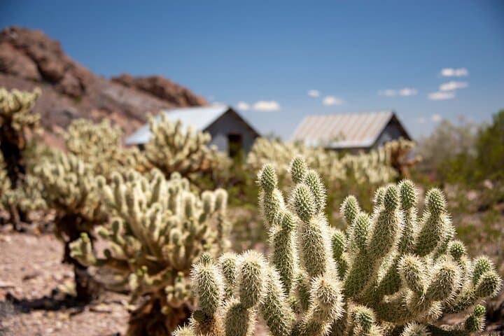 Eldorado Canyon Wild West Adventure: Techatticup Mine Tour from Las Vegas photo 3