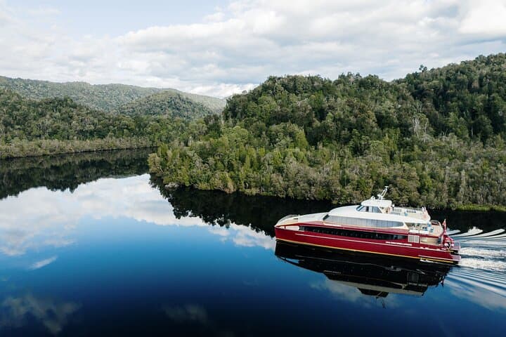 Gordon River Morning World Heritage Cruise from Strahan — Sarah Island & Rainforest Walk photo 6