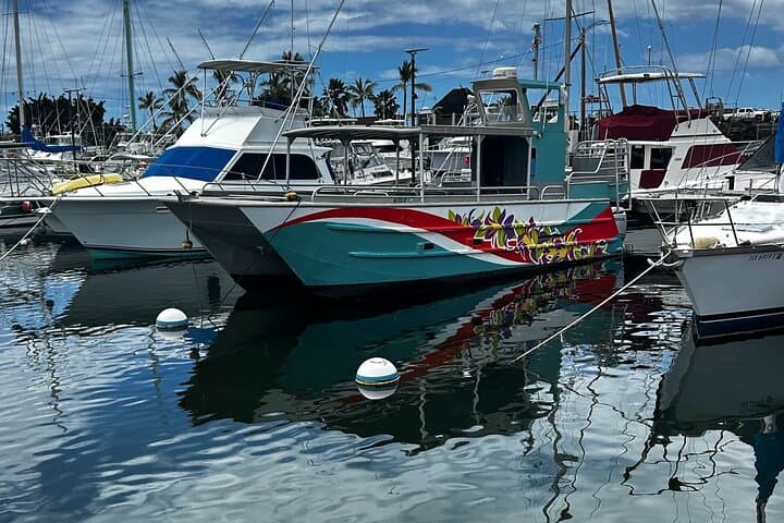 Big Island Whale Watching: Humpback Catamaran from Kailua-Kona photo 2