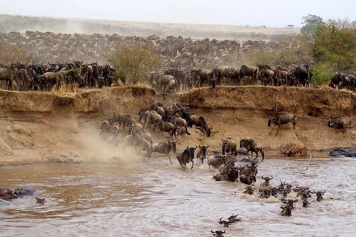 6-Day Masai Mara, Lake Nakuru & Amboseli Budget Safari — Big Five, Flamingos & Kilimanjaro Views photo 2
