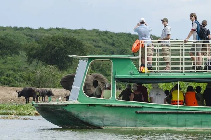 5-Day Queen Elizabeth, Bwindi & Kibale Wildlife Safari from Entebbe photo 5