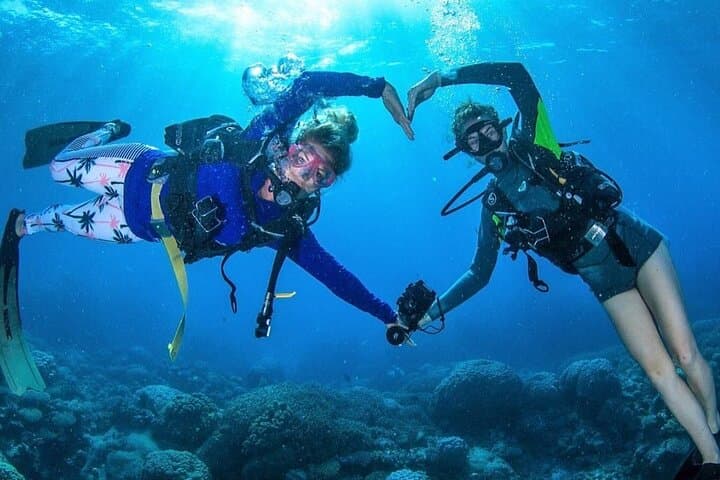 Beginner Scuba Diving in Fujairah: Discover Gulf of Oman Reefs photo 6