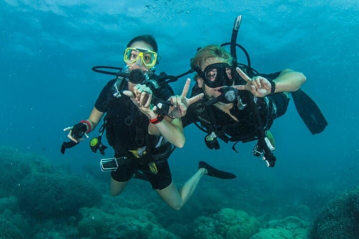 Beginner Scuba Diving in Fujairah: Discover Gulf of Oman Reefs photo 2