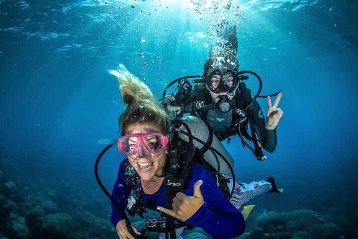 Beginner Scuba Diving in Fujairah: Discover Gulf of Oman Reefs