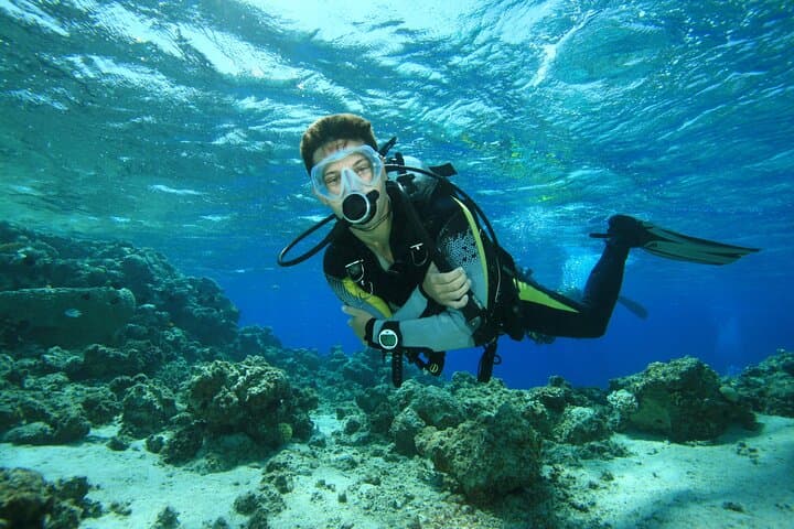 Beginner Scuba Diving in Fujairah: Discover Gulf of Oman Reefs photo 4