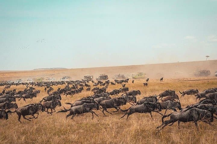 Luxury 6-Day Northern Serengeti Migration Safari, Tanzania photo 3