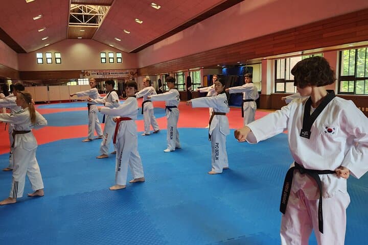 Train Taekwondo in Daegu: Hands-On Class with a 7th‑Dan Master photo 6