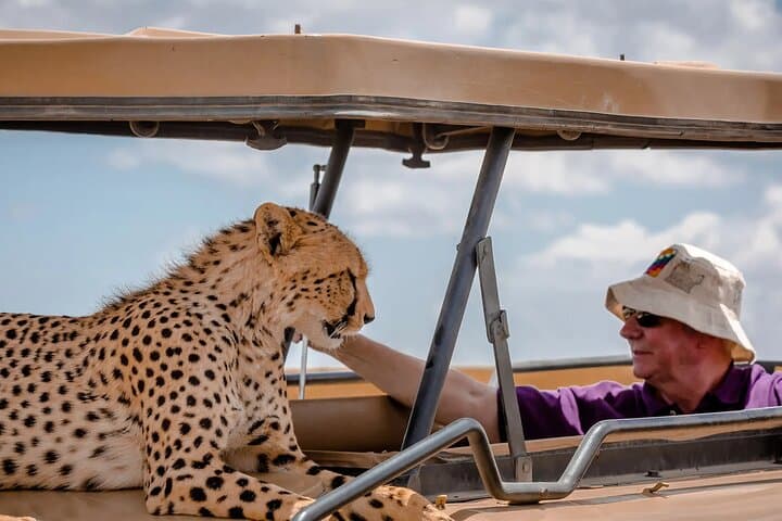 3-Day Masai Mara 4x4 Safari — Big Five Game Drives & Mara River Experience photo 5