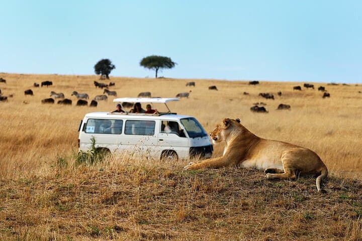 Nairobi National Park Half Day Game Drive: Wildlife Adventure Near Nairobi City photo 2