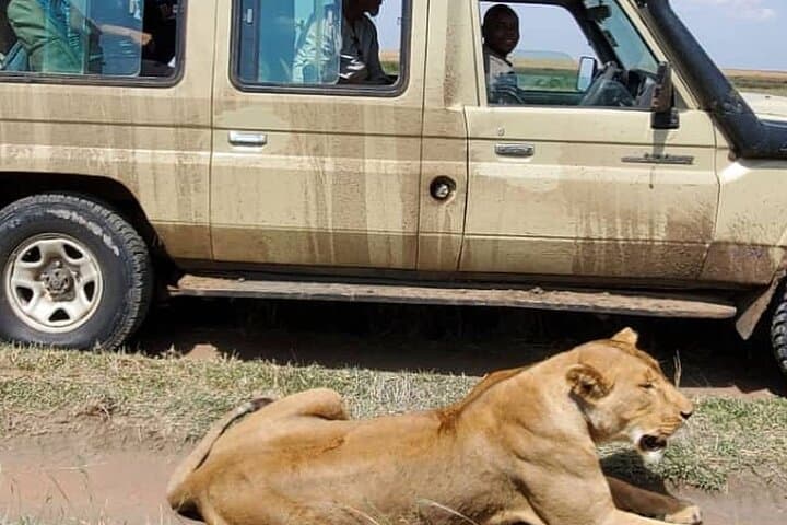 3-Day Selous (Nyerere) Safari: Boat, Game Drives & Walking Safaris on the Rufiji