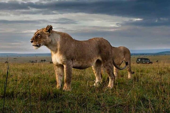 3-Day Selous (Nyerere) Safari: Boat, Game Drives & Walking Safaris on the Rufiji photo 4