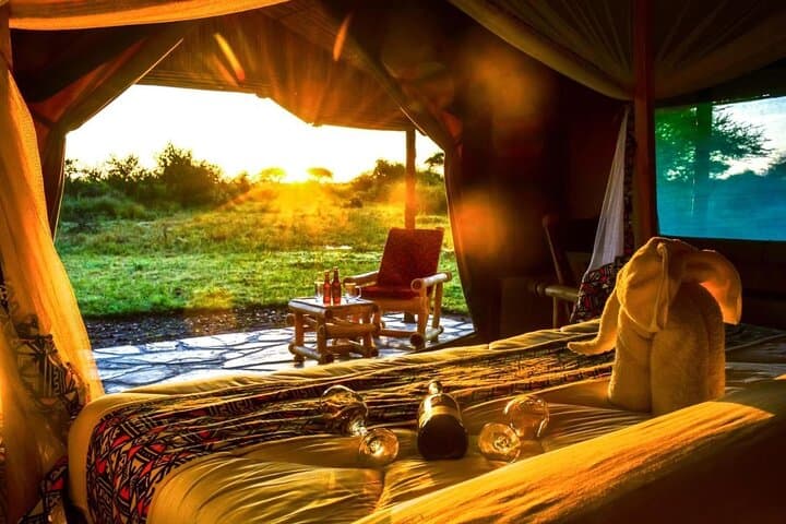3-Day Selous (Nyerere) Safari: Boat, Game Drives & Walking Safaris on the Rufiji photo 6