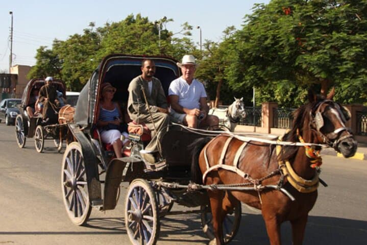 Luxor Horse Carriage & Mummification Museum Tour with Dinner photo 4