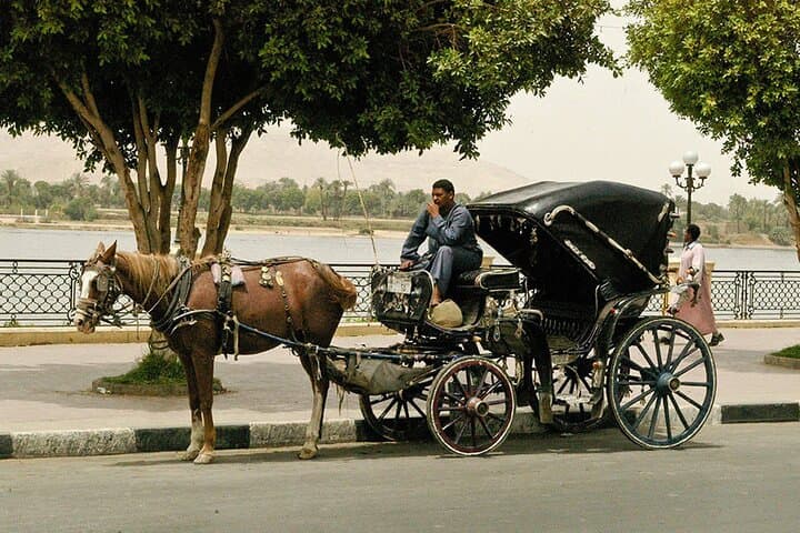 Luxor Horse Carriage & Mummification Museum Tour with Dinner photo 6
