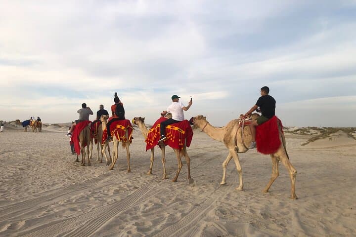 Doha Desert Safari & City Full-Day Private Tour — Skyline to Dunes photo 2