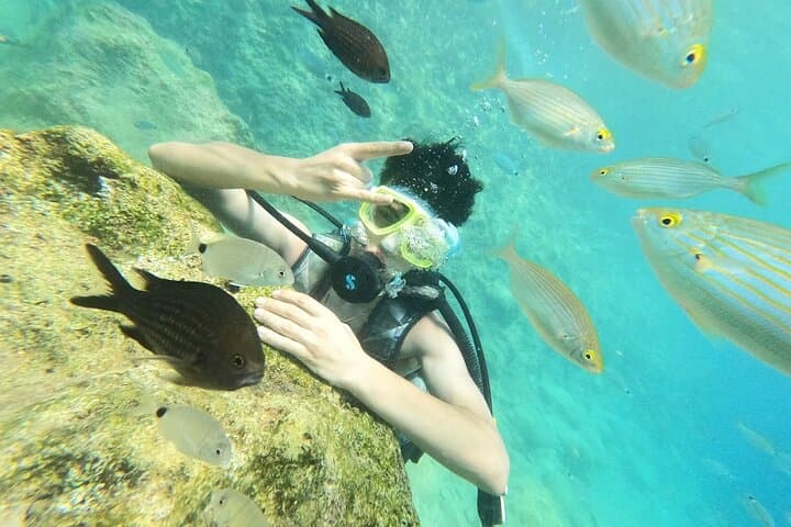 Scuba Diving Tour with Lunch in Alanya — Two-Point Mediterranean Dive Adventure photo 4