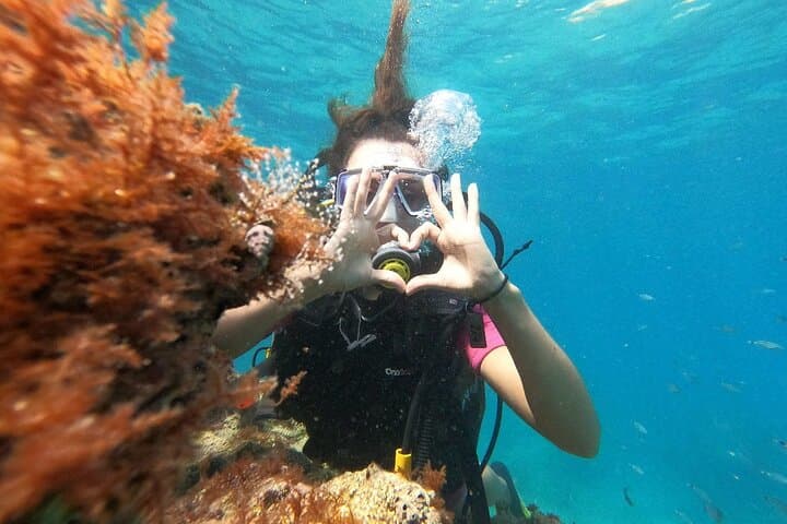 Scuba Diving Tour with Lunch in Alanya — Two-Point Mediterranean Dive Adventure photo 6