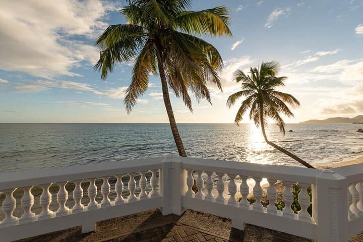 Vieques Bio Bay Day Trip from San Juan: Clear-Bottom Kayak & Sun Bay Beach photo 6