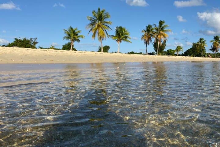 Vieques Bio Bay Day Trip from San Juan: Clear-Bottom Kayak & Sun Bay Beach photo 2