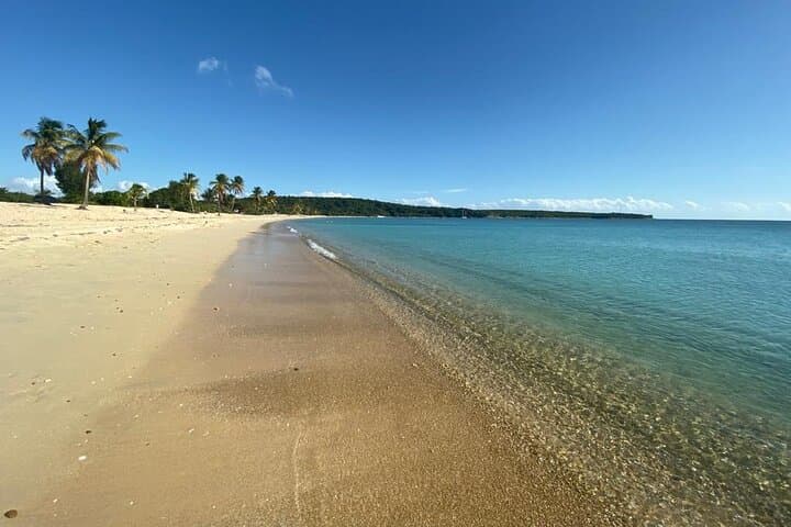 Vieques Bio Bay Day Trip from San Juan: Clear-Bottom Kayak & Sun Bay Beach photo 5