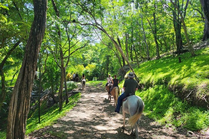 Samara Jungle & Beach Horseback Ride — 2.5-Hour Ranch-to-Beach Experience photo 4