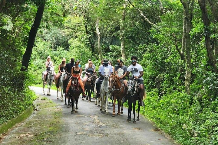 Active Volcano and Hot Springs Day Tour — Miravalles Adventure from Playa Hermosa photo 3