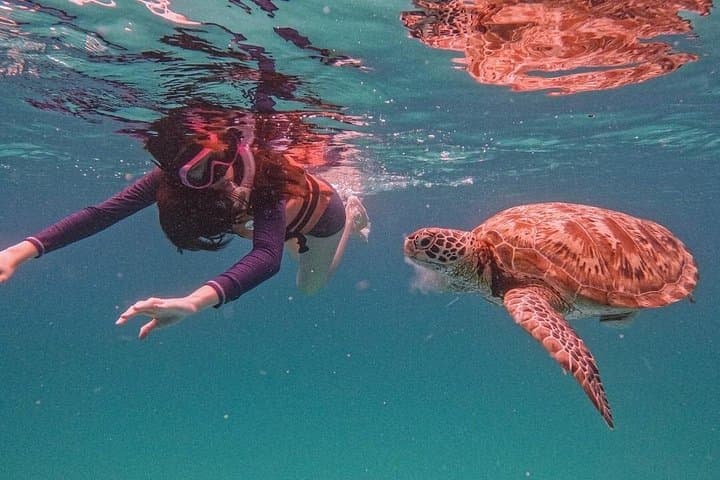 Full-Day Pulau Redang Snorkeling & Island Hopping — Turtle Points, Sandbanks and Coral Gardens