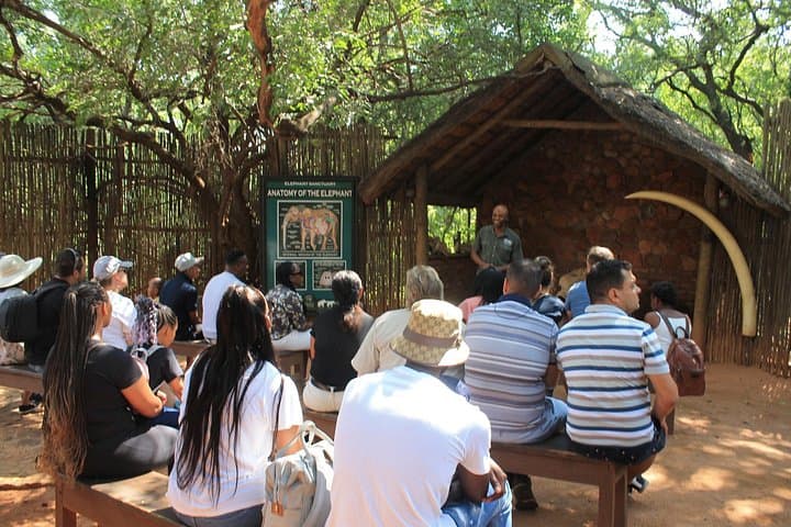 Elephant Sanctuary Tour from Johannesburg — Up-Close with Young African Elephants photo 4