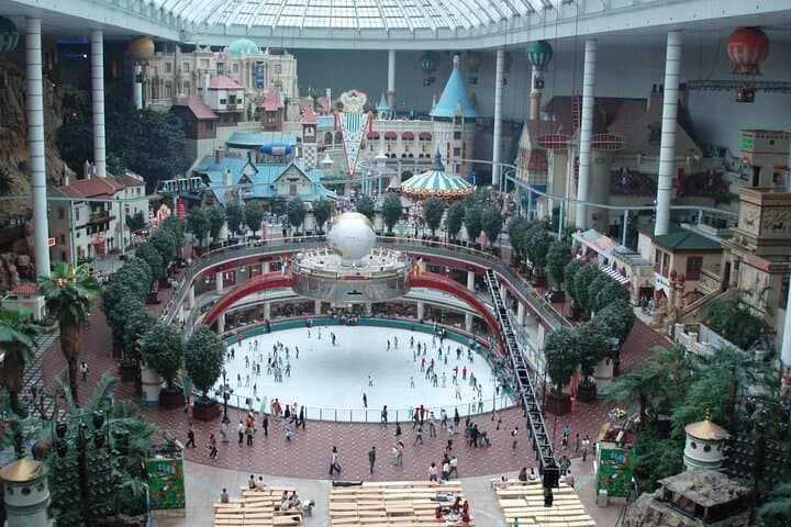 Seoul All-Inclusive Lotte World, Tower & Aquarium Private Tour photo 3