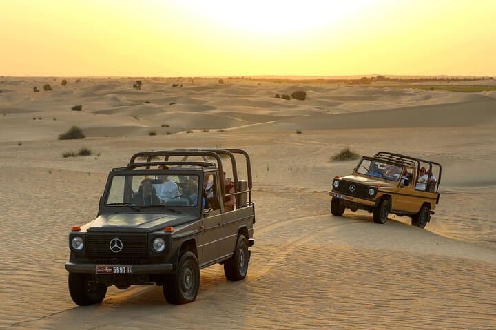 Private Morning Desert Safari in a Vintage Mercedes G-Class at Al Marmoom Oasis photo 3