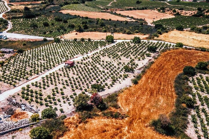 Paphos Afternoon: Agios Neophytos Monastery & Kathikas Wine Tasting photo 3