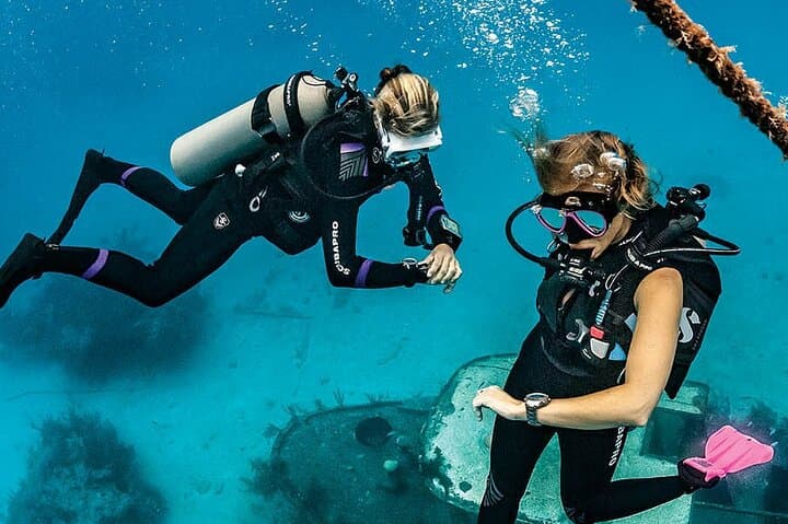 Private Beginner Scuba Diving on Redang Island with a Divemaster photo 3