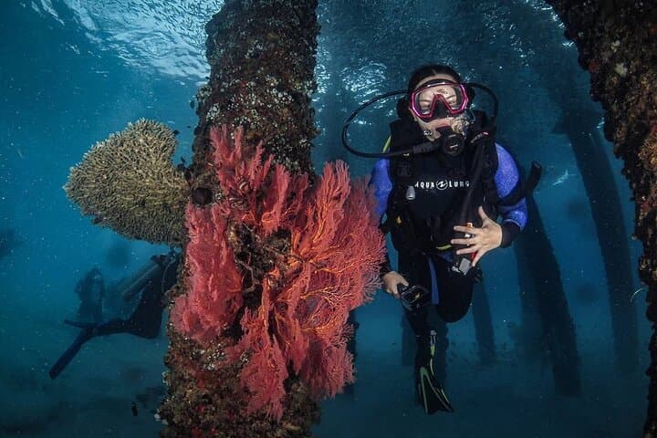 Private Beginner Scuba Diving on Redang Island with a Divemaster