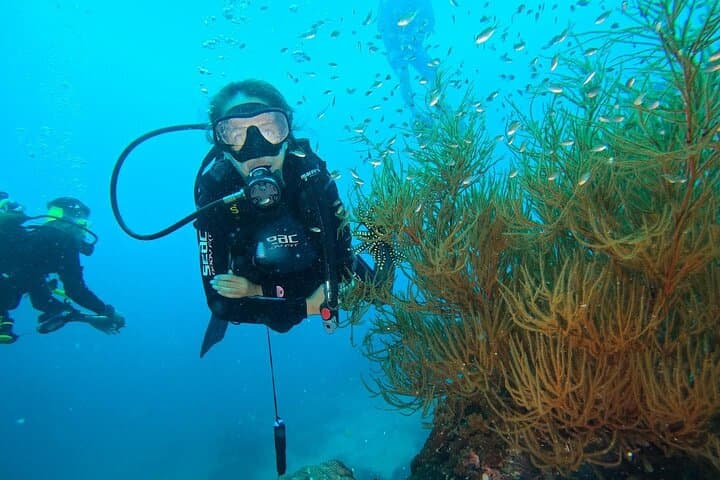 Private Beginner Scuba Diving on Redang Island with a Divemaster photo 6