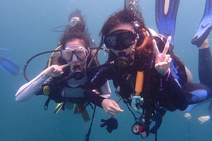 Private Beginner Scuba Diving on Redang Island with a Divemaster photo 2