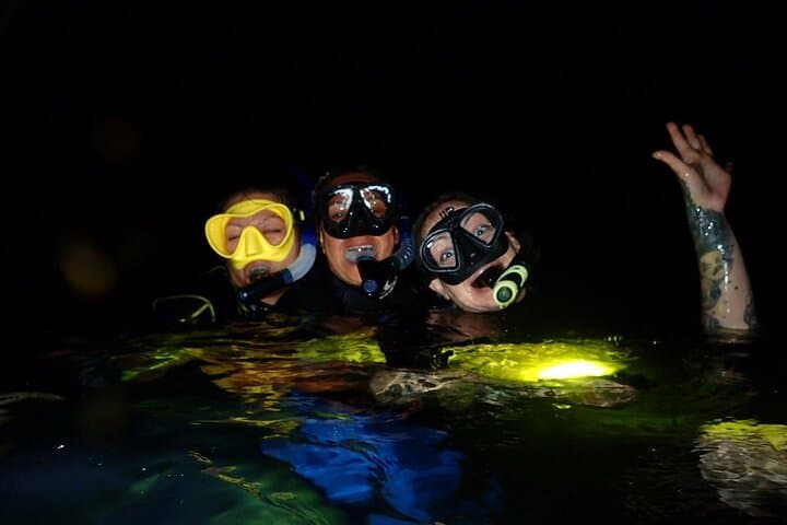 Redang Island Night Snorkeling: Private After-Dark Marine Encounters photo 4