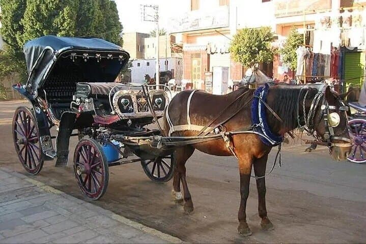 Private 3-Hour Horse Carriage Ride Along Luxor's Nile Corniche photo 2