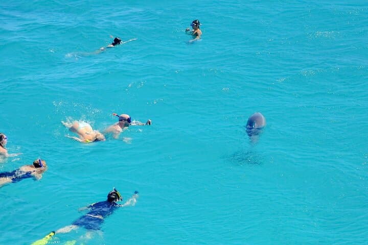 Hurghada Dolphin Reef Full-Day Snorkel & Boat Trip with Lunch photo 2