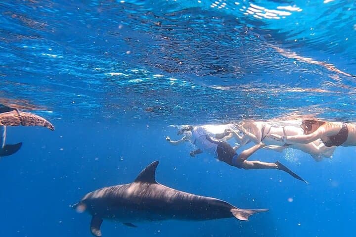 Hurghada Dolphin Reef Full-Day Snorkel & Boat Trip with Lunch photo 3