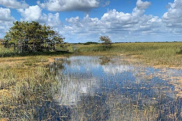 Private Everglades Airboat Tour from Miami — Wildlife, Wetlands & History photo 3